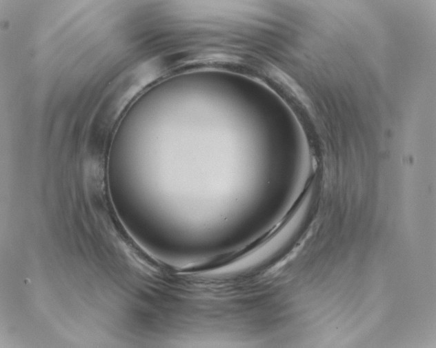 X0000088441321200705221302
