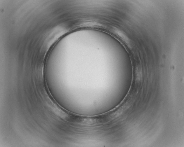 X0000088441322200705221302