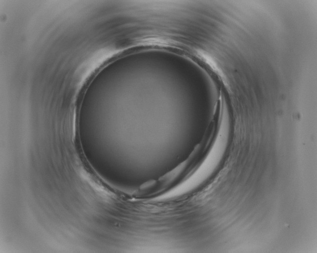 X0000088441323200705221302