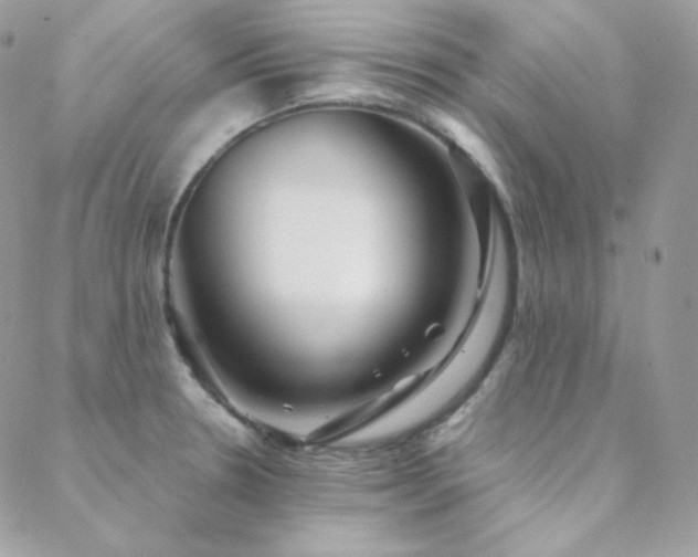 X0000088441330200705221302