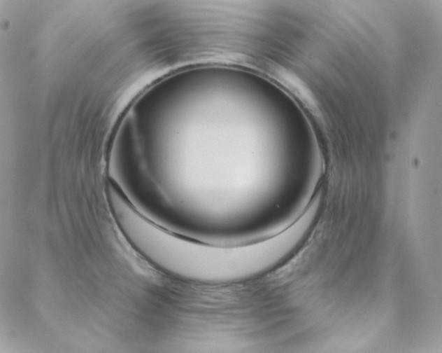 X0000088441332200705221302