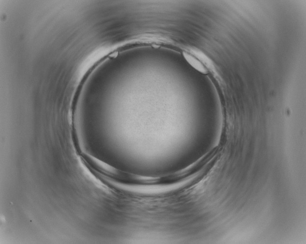 X0000088441335200705221303