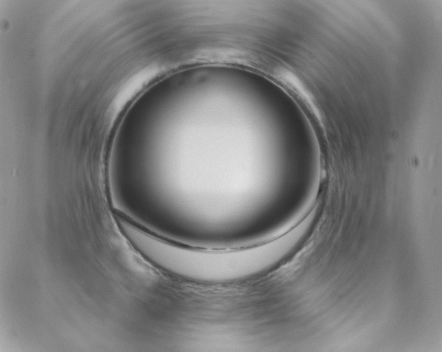 X0000088441336200705221303