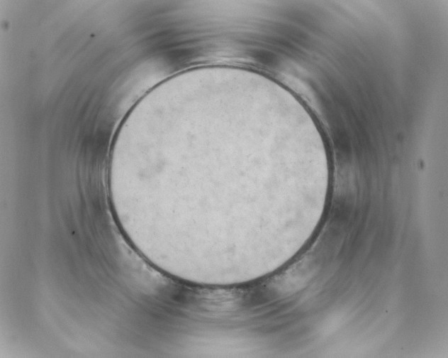 X0000088441338200705221303