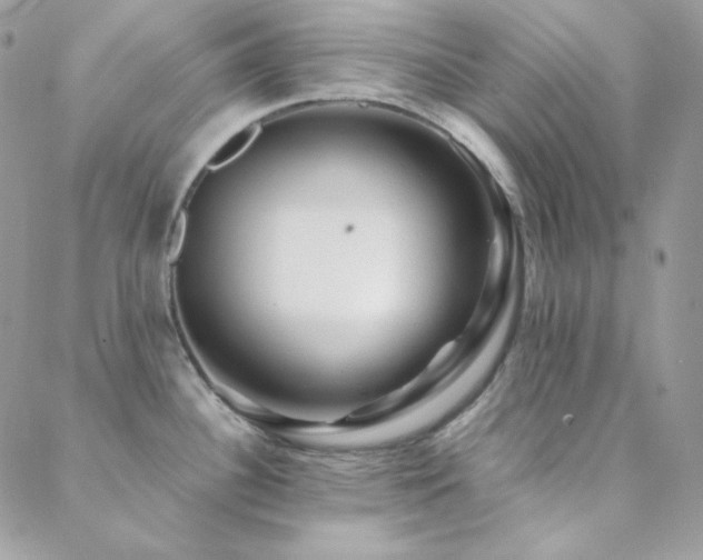 X0000088441340200705221303