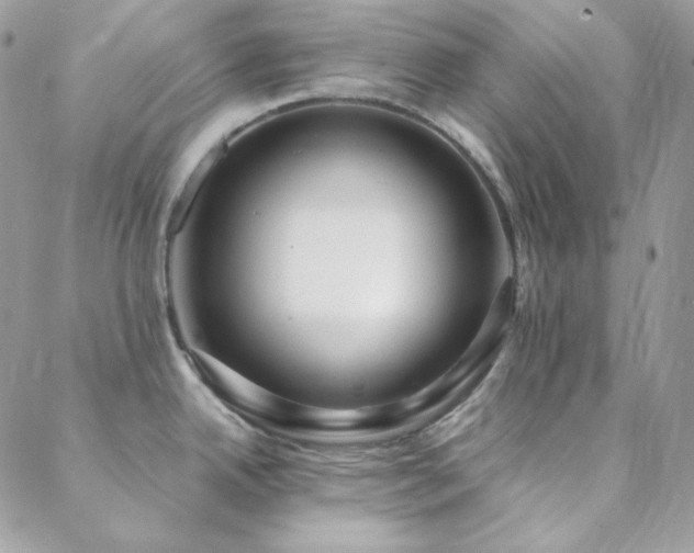 X0000088441342200705221303
