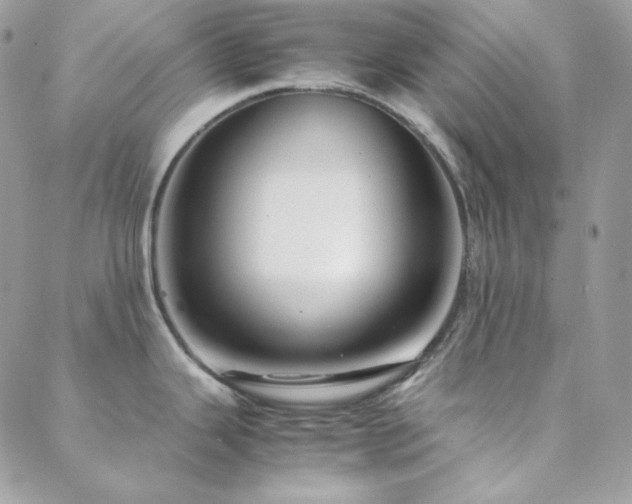 X0000088441343200705221303