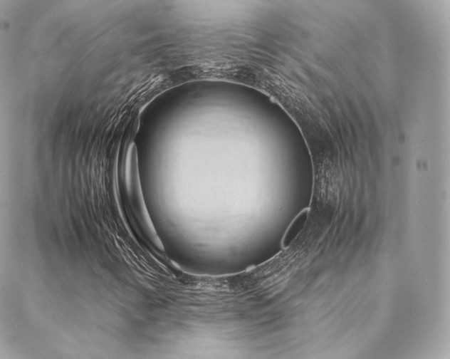 X0000088441346200705221302