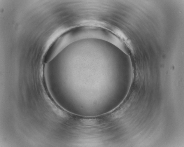 X0000088441376200705221301