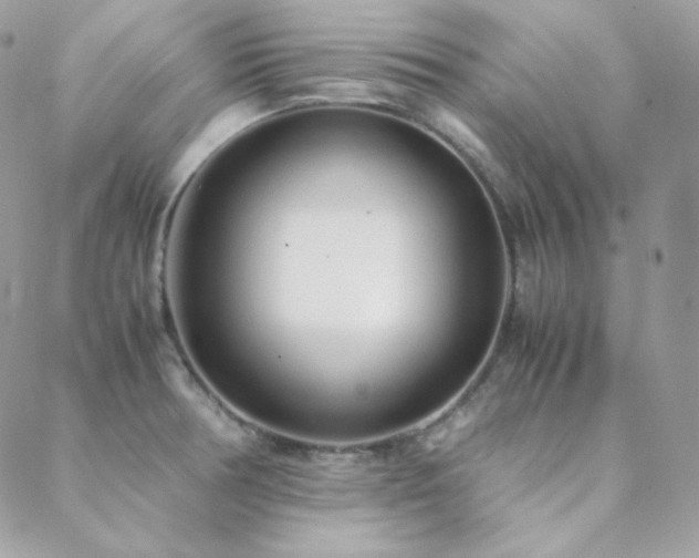 X0000088441378200705221301