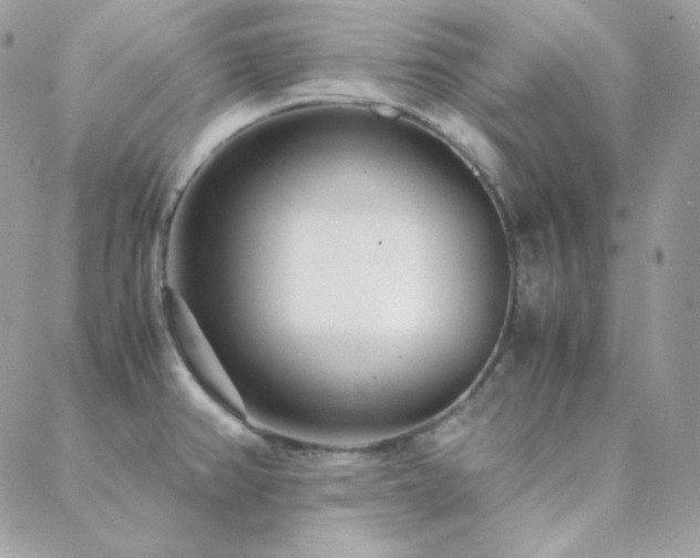 X0000088441382200705221301