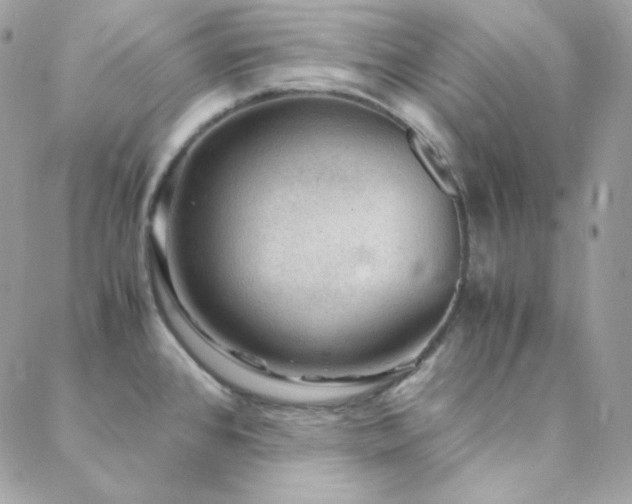 X0000088441384200705221301
