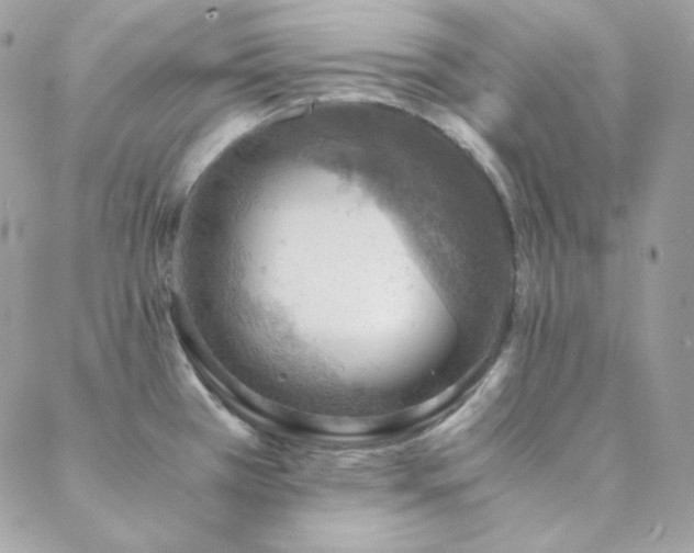 X0000088441385200705221301