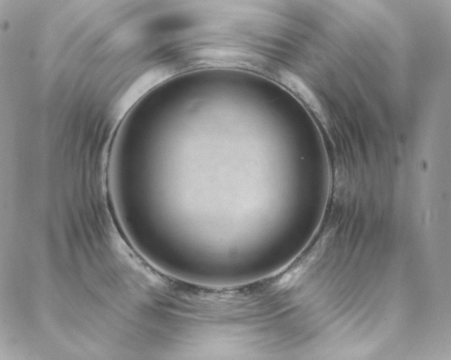 X0000088441386200705221301