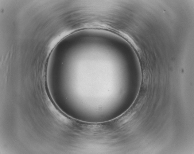 X0000088441387200705221301