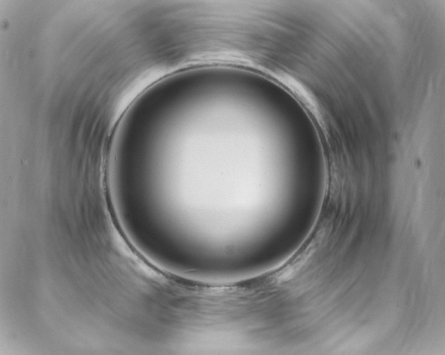 X0000088441390200705221301