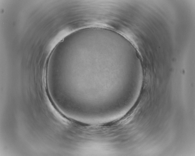 X0000088441391200705221301