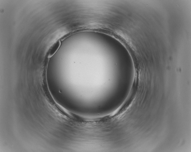 X0000088441410200705221301