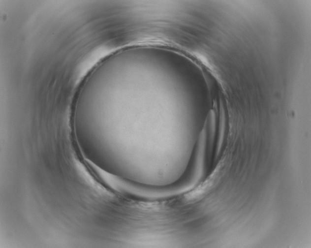 X0000088441422200705221301
