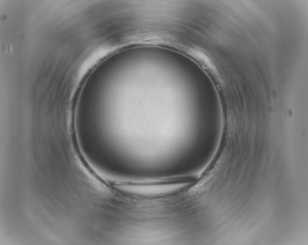 X0000088441424200705221301
