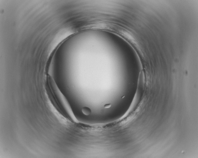 X0000088441426200705221301