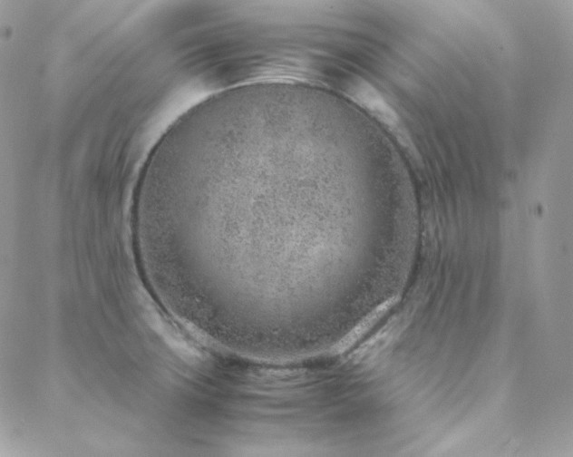 X0000088441427200705221301