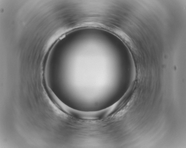 X0000088441430200705221301