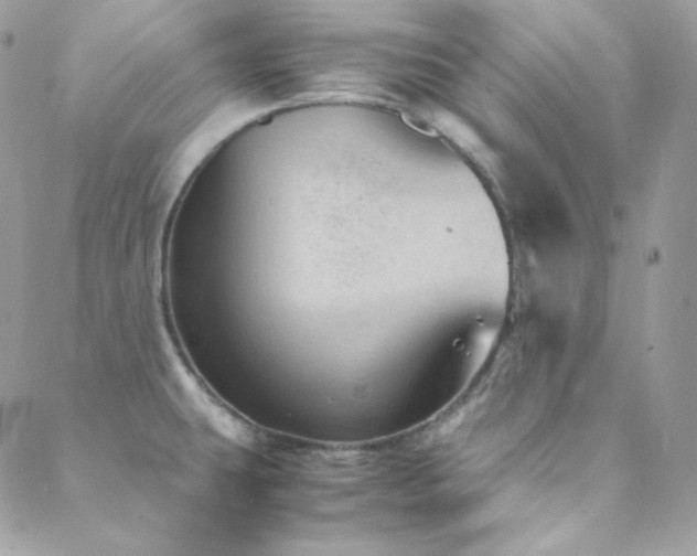 X0000088441431200705221301