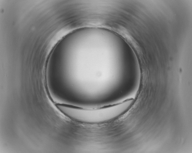 X0000088441432200705221301