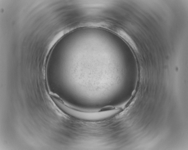 X0000088441436200705221301
