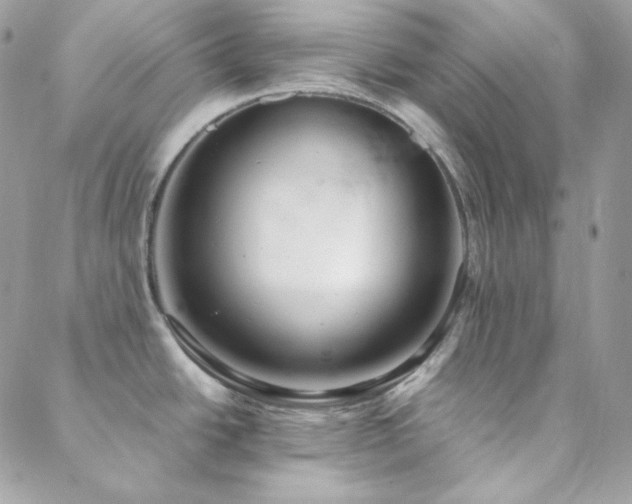 X0000088441438200705221301