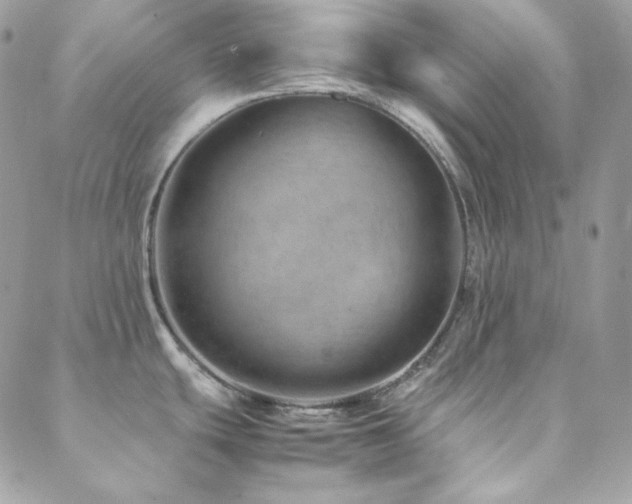 X0000088441439200705221301