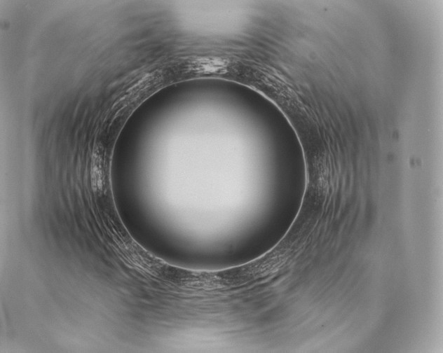 X0000088441442200705221300