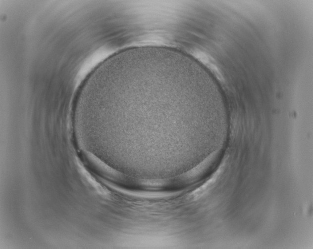 X0000088441469200705221300