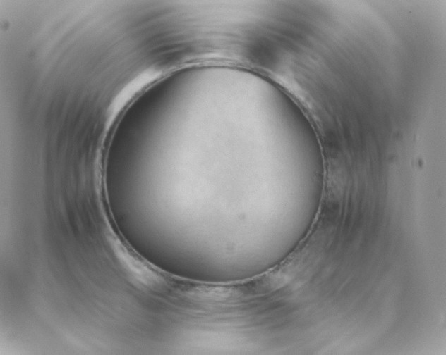 X0000088441474200705221300