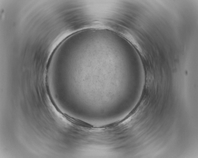 X0000088441484200705221300