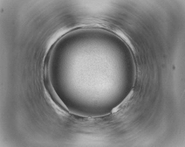 X0000088441485200705221300