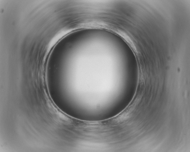 X0000088441486200705221300