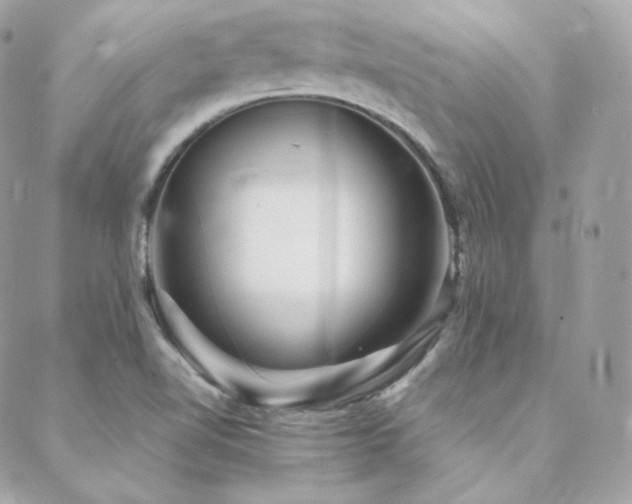 X0000088441510200705221259
