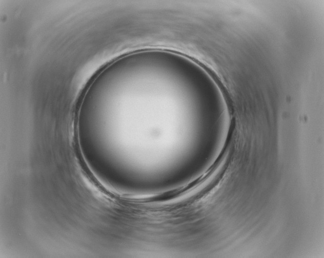 X0000088441511200705221259
