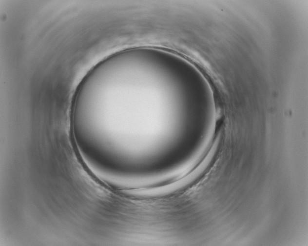 X0000088441512200705221259