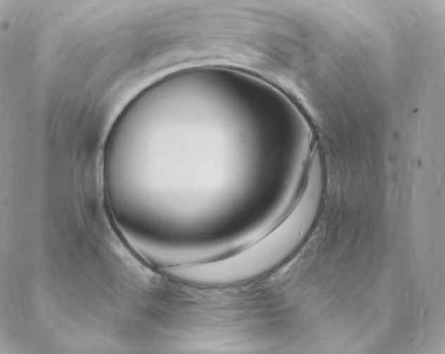X0000088441516200705221259