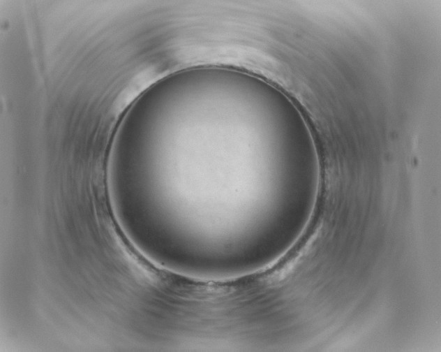 X0000088441521200705221259
