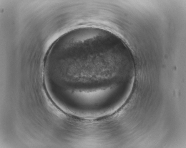 X0000088441522200705221259