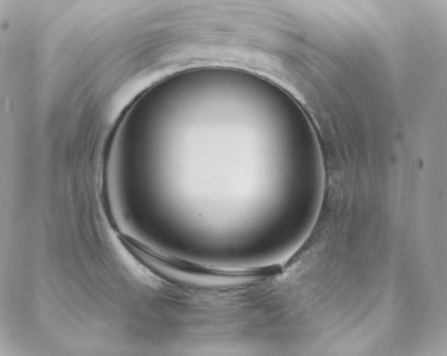 X0000088441523200705221259