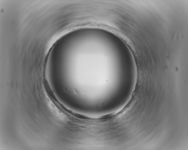 X0000088441530200705221259