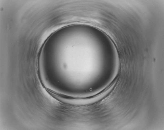X0000088441531200705221259