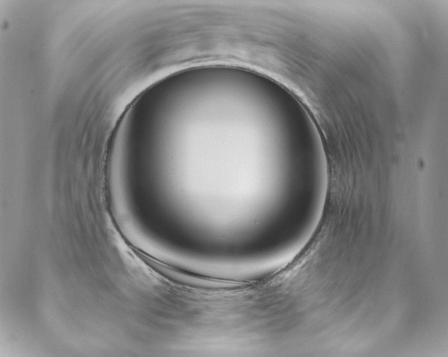 X0000088441534200705221259