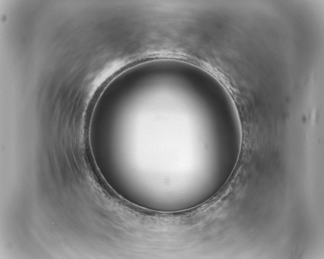 X0000088440008200705291619