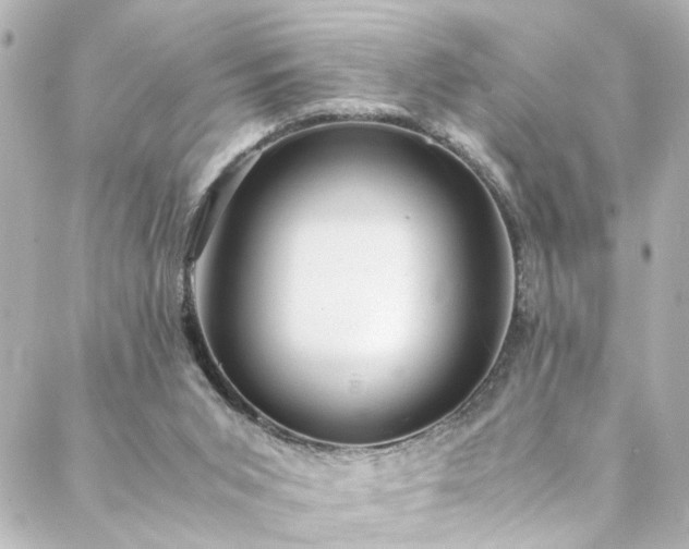 X0000088440015200705291619